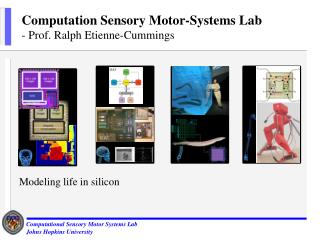 Computation Sensory Motor-Systems Lab - Prof. Ralph Etienne-Cummings