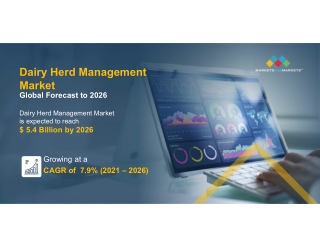 Dairy Herd Management Market