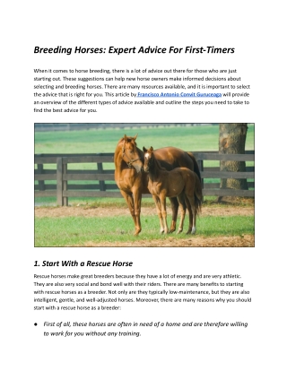 Expert Advice For First-Timers Breeding Horses