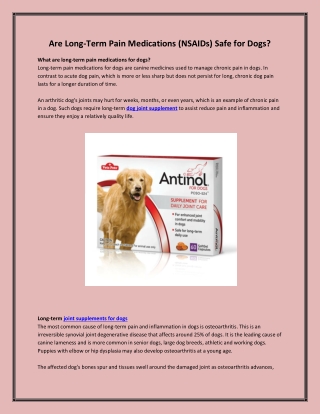 Are Long-Term Pain Medications (NSAIDs) Safe for Dogs