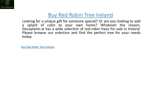 Buy Red Robin Tree Ireland  Decoplants.ie