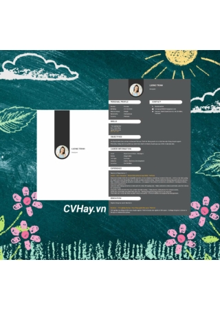 CVHay_Designer