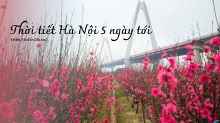 Thời tiết Hà Nội 5 ngày tới