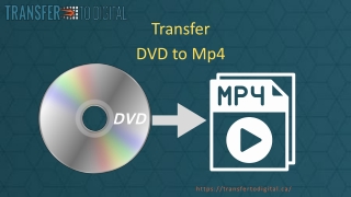 The Best Way to Convert DVD to MP4