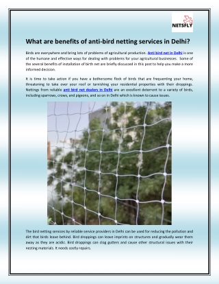 Anti Bird Net Dealers in Delhi