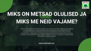 Miks on metsad olulised ja miks me neid vajame