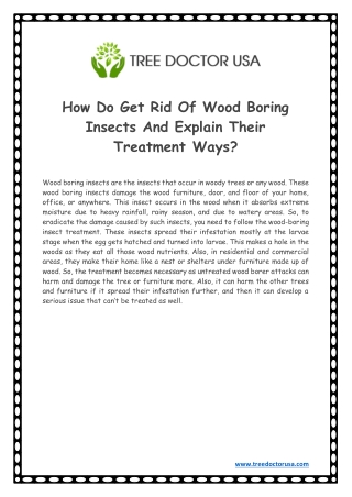 How do get rid of Wood Boring Insects and explain their Treatment ways