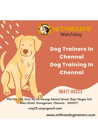 Dog Trainers In Chennai