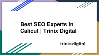 Best SEO Experts in Calicut | Trinix Digital