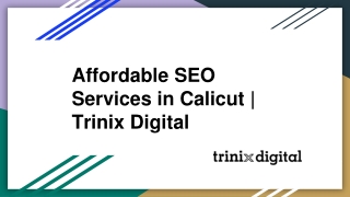 Affordable SEO Services in Calicut | Trinix Digital