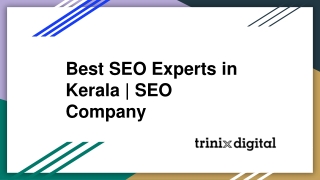 Best SEO Experts in Kerala | SEO Company
