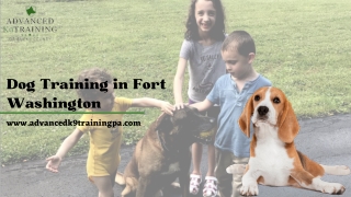 The Best Dog Training Centre in Fort Washington