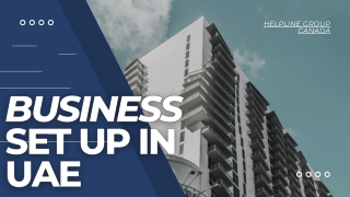 Business set up in UAE