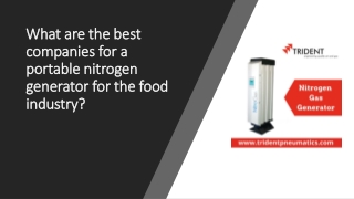 What are the best companies for a portable nitrogen generator for the food i