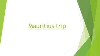 Enjoy Diving and Cool Summer Nights on an Amazing Mauritian Tour