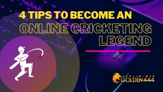 4 Tips to become an Online Cricketing Legend - Golden444