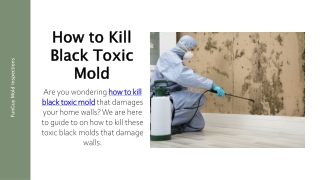 How to Kill Black Toxic Mold