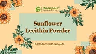 Sunflower Lecithin Powder: A Generalist