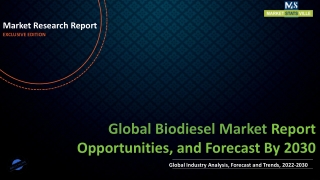 Biodiesel Market Size to Reach US$ 4,103.6 million by 2030