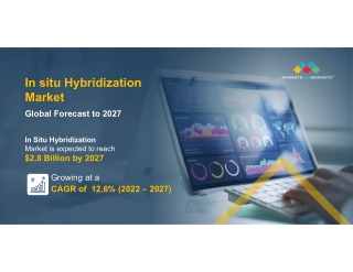 In situ Hybridization Market