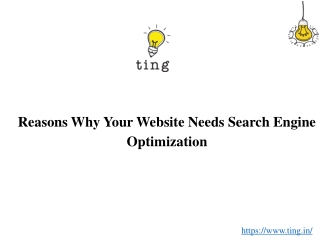 Reasons Why Your Website Needs Search Engine Optimization