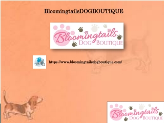 Dog Clothes from Wooflink, bloomingtailsdogboutique.com