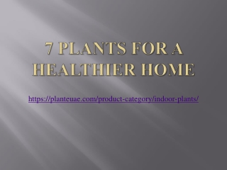 7 Plants For a Healthier Home