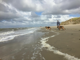 Vakantiehuis aan zee met hond in Ouddorp