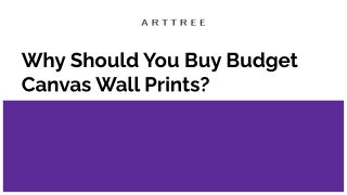 Why Should You Buy Budget Canvas Wall Prints_