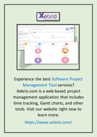 Software Project Management Tool | Xebrio.com