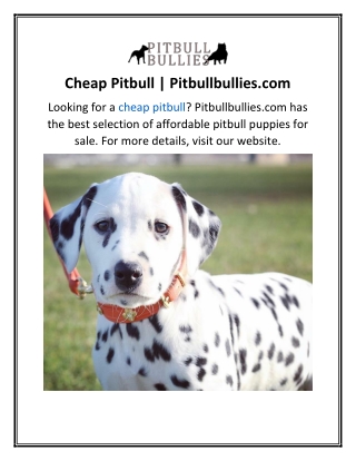 Cheap Pitbull  Pitbullbullies.com