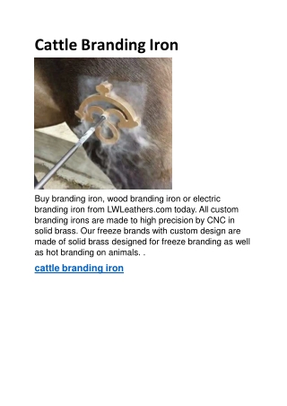 Cattle Branding Iron
