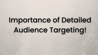 Importence of Detailed Audience Targeting!
