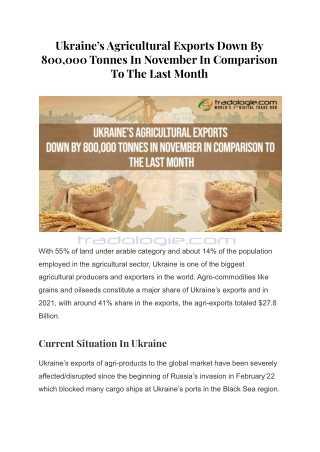 Ukraine’s Agricultural Exports Down By 800,000 Tonnes In November In Comparison To The Last Month
