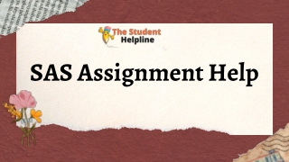 Buy SAS Assignmnt Help With Top Experts