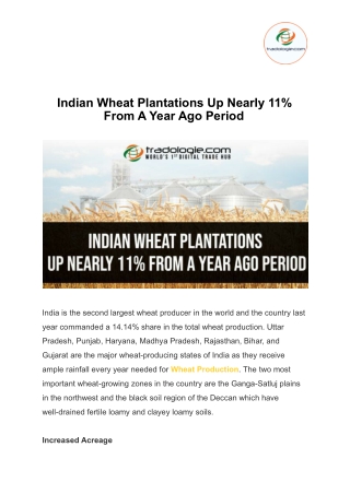 Indian Wheat Plantations Up Nearly 11% From A Year Ago Period
