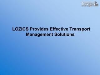 LOZICS Provides Effective Transport Management Solutions