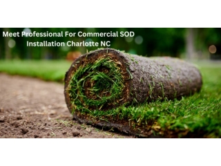 Meet Professional For Commercial SOD Installation Charlotte NC