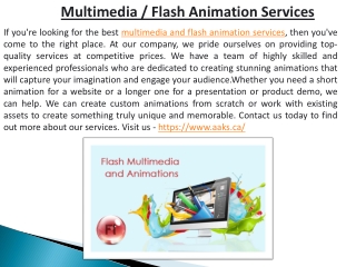 Multimedia / Flash Animation Services