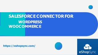 integration between the Salesforce and WooCommerce