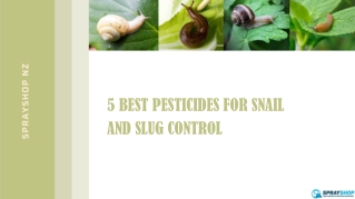 5 Best Pesticides For Snail and Slug Control