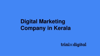 Digital Marketing Company in Kerala
