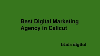 Best Digital Marketing Agency in Calicut
