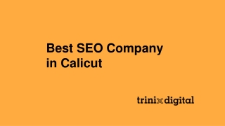 Best SEO Company in Calicut