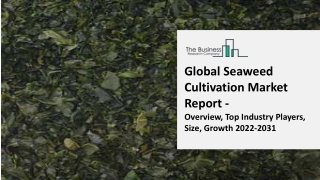 Seaweed Cultivation Market Report - Overview, Top Industry Players, Size, Growth