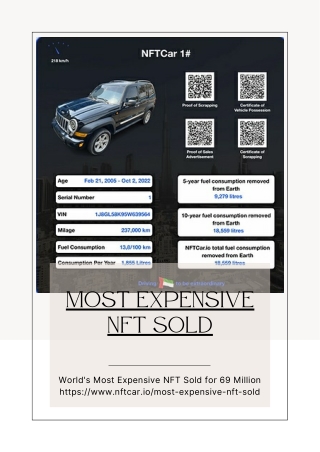 most expensive nft sold