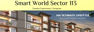 Smart World Sector 113 Gurgaon - PDF