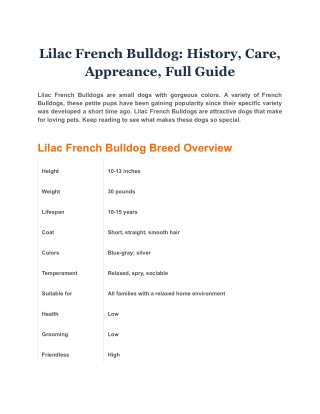 Lilac French Bulldog_ History, Care, Appreance, Full Guide