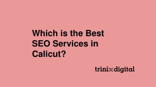 Which is the Best SEO Services in Calicut?