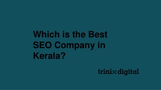 Which is the Best SEO Company in Kerala?